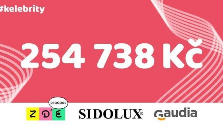 Na Kelebrity bazaru se vybralo 254 738 Kč.