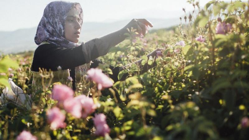 Značka myslí na planetu, jejíž zdroje nejsou neomezené. Zdroj: Lush.